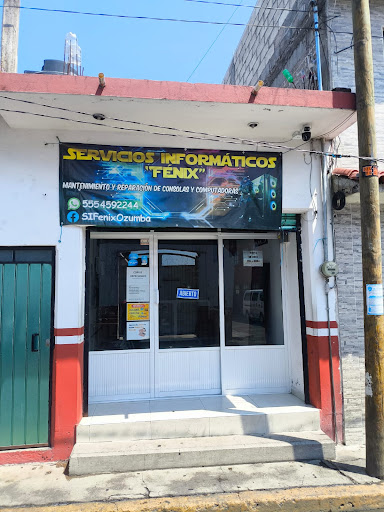 Servicios Informáticos Fenix