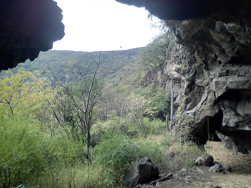 Hoya de Cíntora