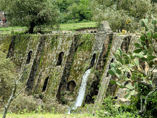 Los Desmontes Gto