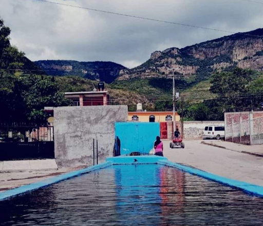 Zapote de Cestau