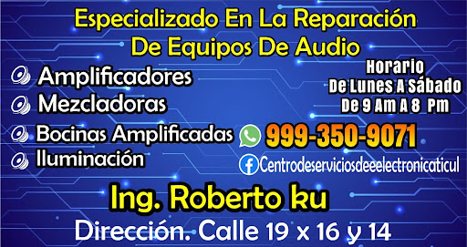 Centro de Servicios de Electrónica Ticul