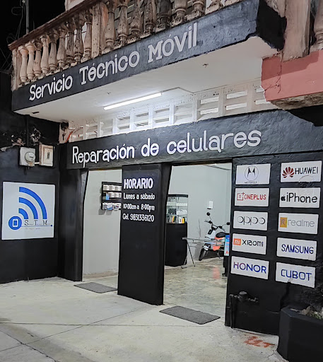 Servicio Técnico Móvil (STM)